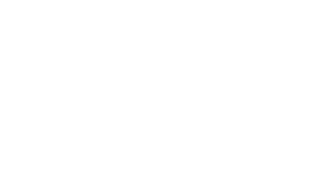 Meer over Secure Dynamic IT Diensten